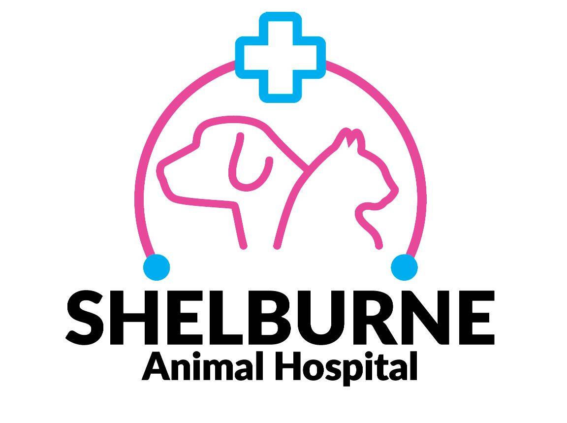 Shelburne Animal Hospital 